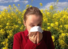 Allergiavizsgálat 64 anyagra, immunrendszer- és Candida-vizsgálat kiértékeléssel