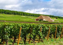 Körutazás a francia föld kincseihez Lotaringia, Champagne és Burgundia érintésével