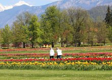 4 napos szlovéniai körutazás tulipánvirágzás idején, busszal, reggelivel, 3*-os szállással