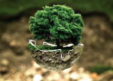 Életfa Jóga Veszprémben elméleti jegyzetekkel, Asana-tanulással, tradicionális szemlélettel