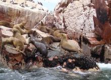 Az ősi inka civilizáció nyomában Peruban