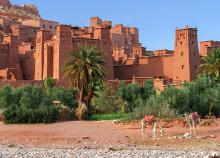 Körutazás Marokkóban és látogatás a Szahara kapujában, repülőjeggyel, illetékkel, félpanzióval
