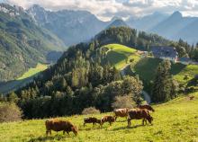 5 napos kaland Szlovénia varázslatos tájain, buszos utazással, reggelivel, idegenvezetéssel