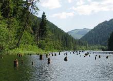 7 napos kirándulás Székelyföldön, reggelivel, buszos utazással, idegenvezetéssel, programokkal