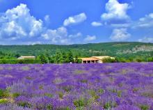 Kirándulás Provence tájain és a francia riviérán, buszos utazással, reggelivel, idegenvezetéssel