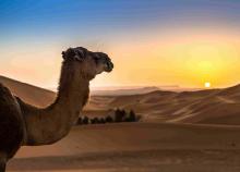 8 napos marokkói körutazás, repülőjeggyel, illetékkel, reggelivel, 6 főétkezéssel