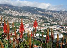 8 nap Madeirán repülőjeggyel, illetékkel, 4*-os szállással, reggelivel, 2 ebéddel, belépőkkel