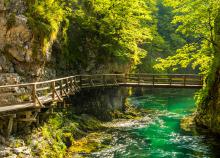 3 napos körutazás Szlovéniában, busszal, félpanzióval, idegenvezetéssel – Szlovénia ízei és csodái