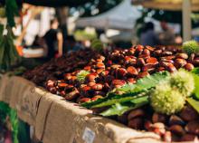 3 napos körutazás az Adriánál a Gesztenye fesztivál idején,busszal, félpanzióval, 3*-os szállással