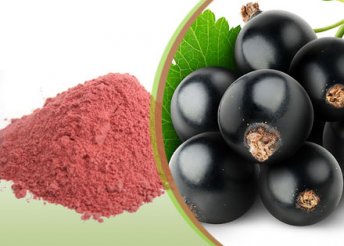 Korszerű táplálkozás: étkezz változatosan, használj organikus gyümölcsporokat (250 g), 5 különleges ízben
