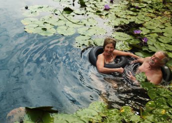 3 napos pihenés 2 főre Hévízen, a Toldi Panzióban, reggelivel, hosszú felhasználhatósággal