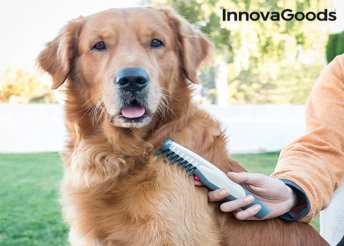 InnovaGoods Home Pet elektromos bontófésű kutyáknak