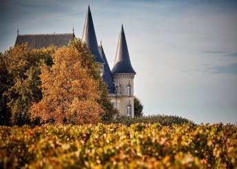 4 nap Bordeaux-ban és a környező borvidékeken, repülőjeggyel, illetékkel, reggelivel, 3*-os szállással