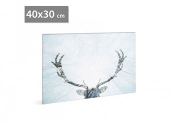 LED-es fali hangulatkép - rénszarvas - 2 x AA, 40 x 30 cm