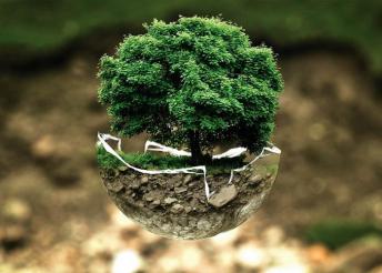 Életfa Jóga Veszprémben elméleti jegyzetekkel, Asana-tanulással, tradicionális szemlélettel