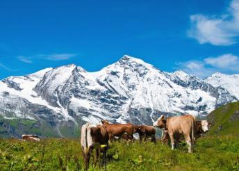 8 napos kirándulás az ausztriai Alpokban, a Salzkammerguti-tóvidéktől a Grossglocknerig, reggelivel