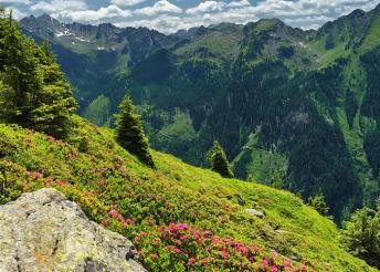 5 napos kirándulás az Alpokban, busszal, 3*-os szállással, reggelivel, idegenvezetéssel