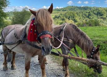4 napos kirándulás Máramaroson, busszal, reggelivel, szállással autentikus gerendaházakban
