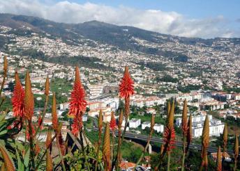 8 nap Madeirán repülőjeggyel, illetékkel, 4*-os szállással, reggelivel, 2 ebéddel, belépőkkel