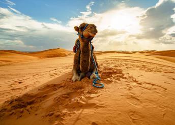 8 napos körutazás Marokkóban, repülőjeggyel, illetékkel, félpanzióval, 4*-os szállással