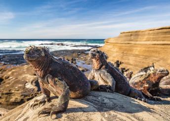 Körutazás Kolumbiában, Ecuadorban és Galapagoson, 3 és 4 csillagos szállodákban