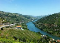Borkaland Portóban és a Douro -völgyben, repülőjeggyel, illetékkel, 4*-os szállásokkal, reggelivel