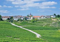 Francia kirándulás Champagne régióban, repülőjeggyel, illetékkel, reggelivel, 1 vacsorával