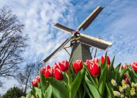 4 napos körutazás Hollandiában, repülővel, reggelivel, idegenvezetéssel