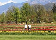 4 napos szlovéniai körutazás tulipánvirágzás idején, busszal, reggelivel, 3*-os szállással