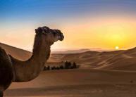 8 napos marokkói körutazás, repülőjeggyel, illetékkel, reggelivel, 6 főétkezéssel