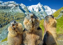 5 napos kirándulás Karintiában, busszal, reggelivel, idegenvezetéssel