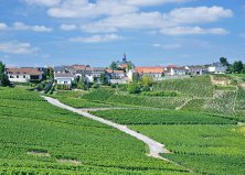Francia kirándulás Champagne régióban, repülőjeggyel, illetékkel, reggelivel, 1 vacsorával