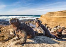 Körutazás Kolumbiában, Ecuadorban és Galapagoson, 3 és 4 csillagos szállodákban